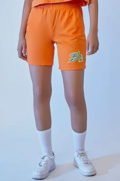 Embroidered Fubu Mesh Shorts