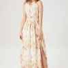 Floral Print Plunging Maxi Dress