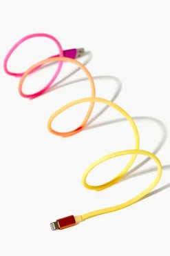 Gradient Usb Charging Cable