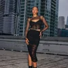 Mesh Bodycon Midi Skirt