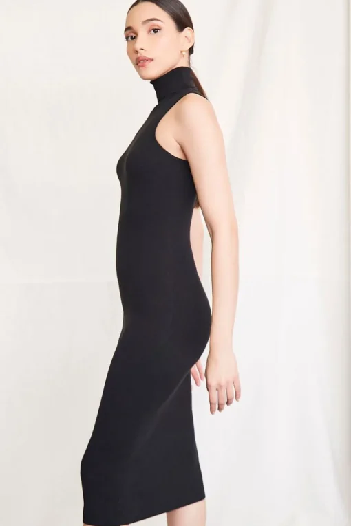 Ribbed Knit Turtleneck Dress