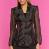 Sheer Organza Blazer
