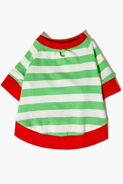 Striped Pet Sweater