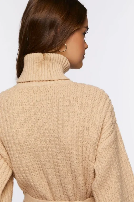 Turtleneck Mini Sweater Dress